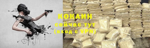 прущие грибы Лихославль