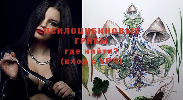 твердый Липки
