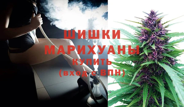 прущие грибы Лихославль