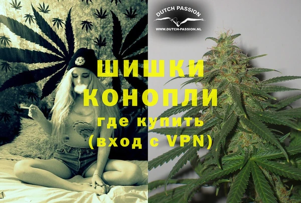 прущие грибы Лихославль