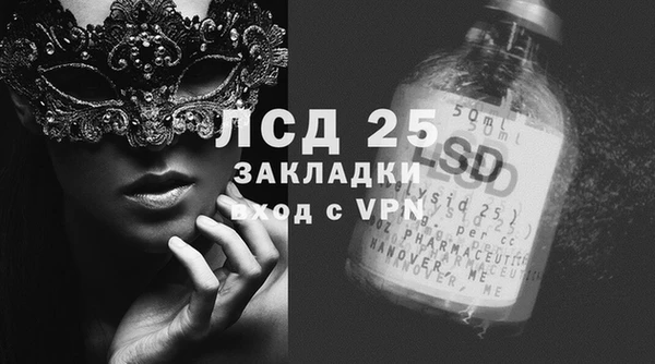 прущие грибы Лихославль