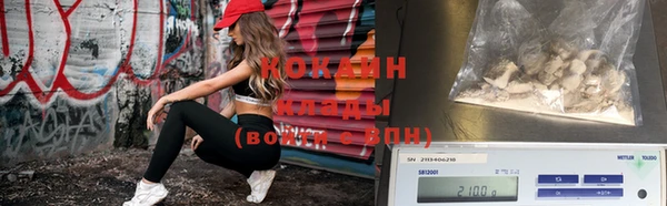 прущие грибы Лихославль