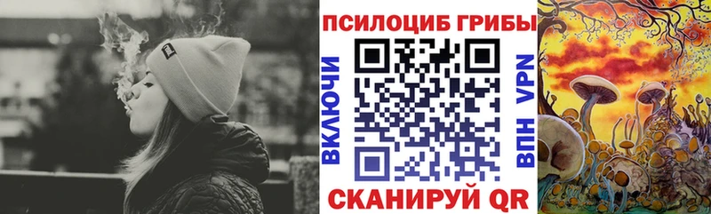 Псилоцибиновые грибы GOLDEN TEACHER  Дубна 