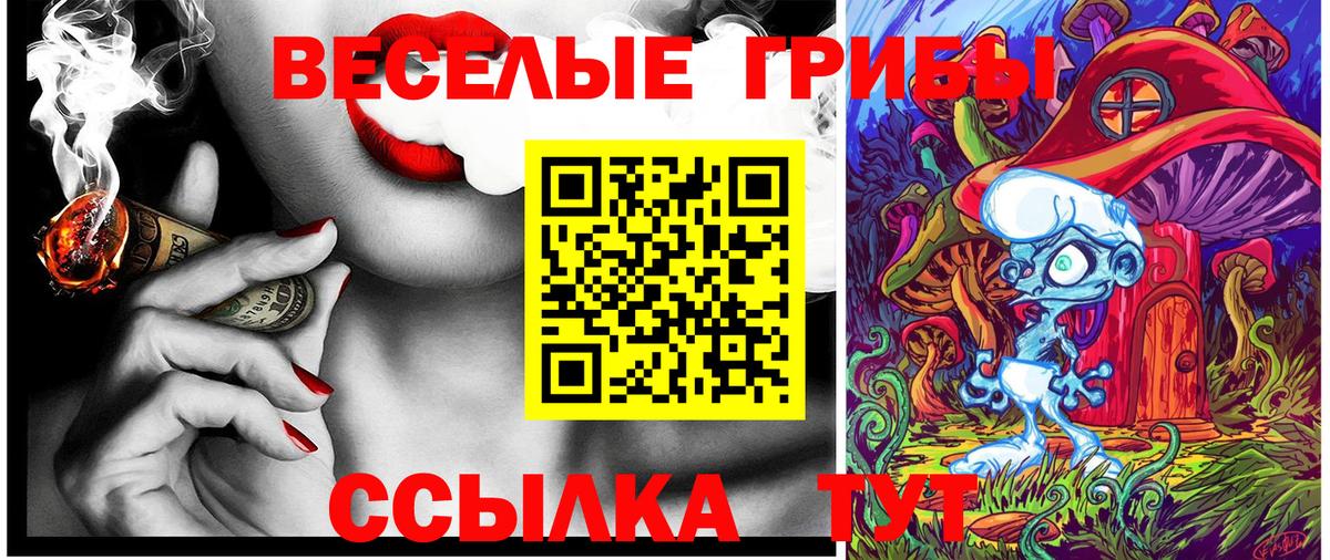 Галлюциногенные грибы Magic Shrooms  Вход с VPN  Псилоцибиновые грибы ЛСД  дарнет шоп  Дубна 