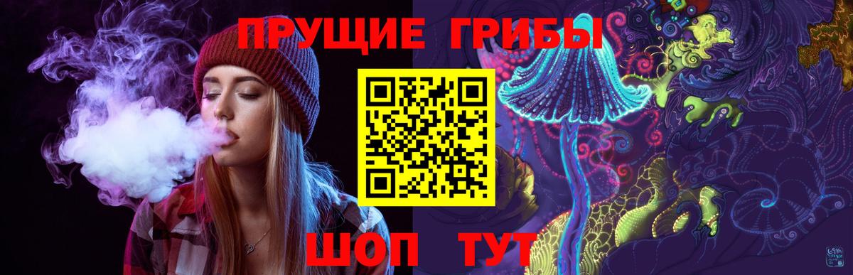 купить наркотик  Дубна  Псилоцибиновые грибы GOLDEN TEACHER 
